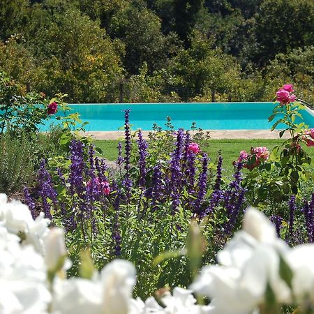 B&B Podere Il Colto Gaiole in Chianti Kültér fotó