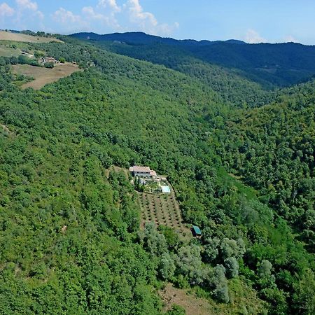 B&B Podere Il Colto Gaiole in Chianti Kültér fotó