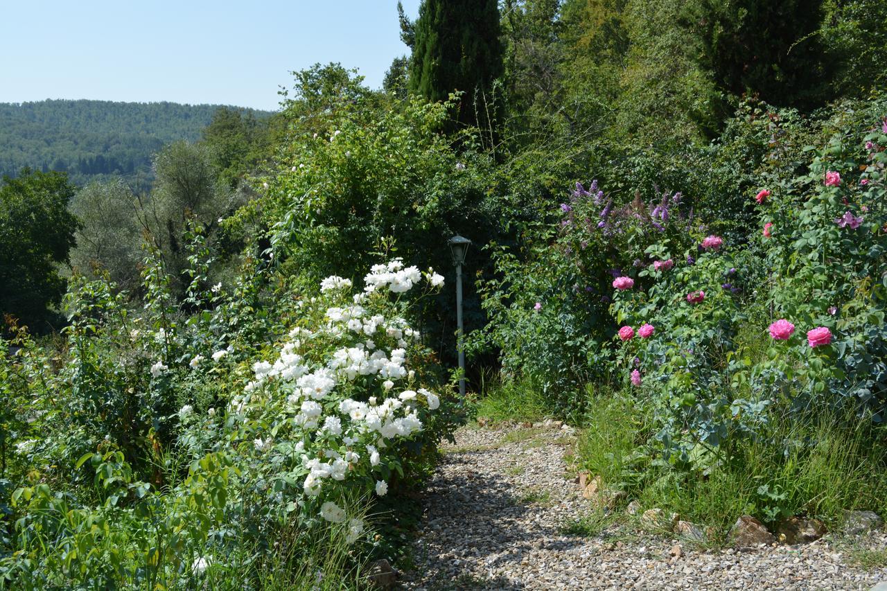 B&B Podere Il Colto Gaiole in Chianti Kültér fotó