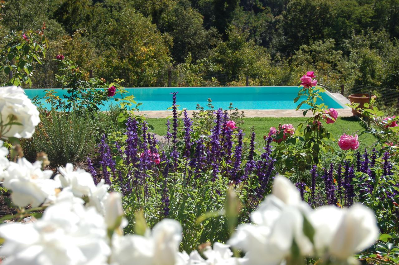 B&B Podere Il Colto Gaiole in Chianti Kültér fotó