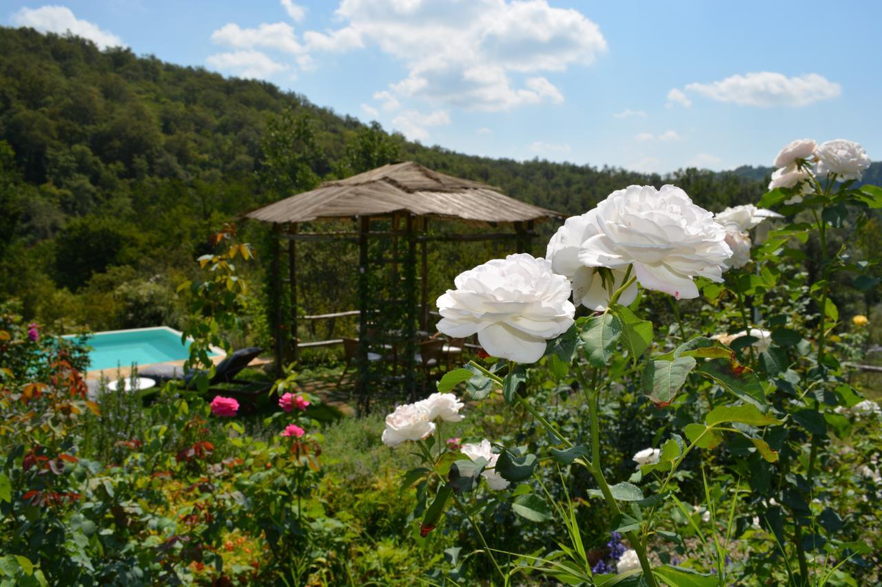 B&B Podere Il Colto Gaiole in Chianti Kültér fotó