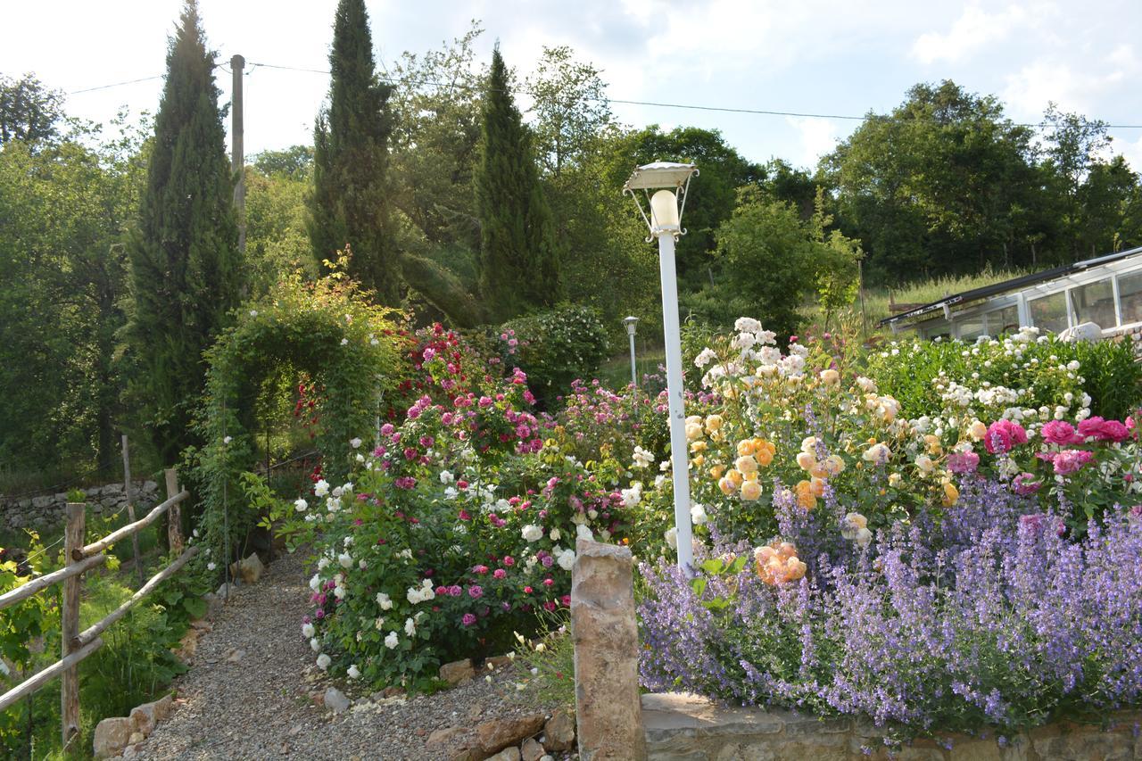 B&B Podere Il Colto Gaiole in Chianti Kültér fotó