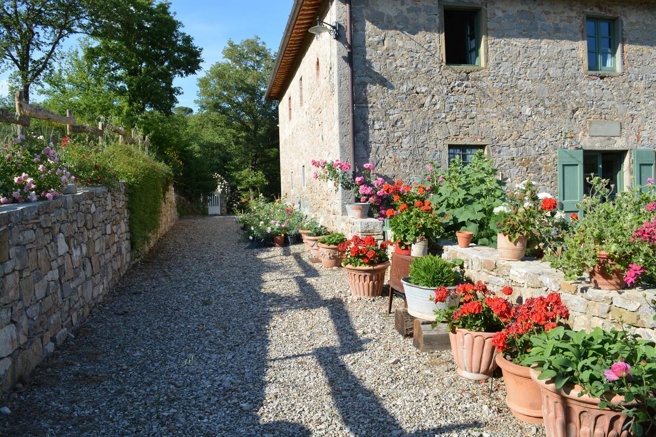 B&B Podere Il Colto Gaiole in Chianti Kültér fotó