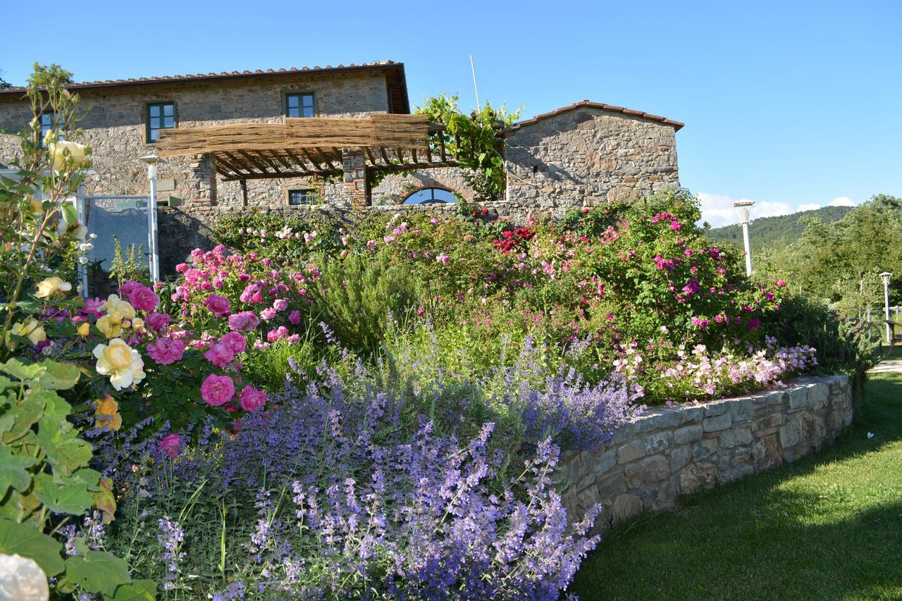 B&B Podere Il Colto Gaiole in Chianti Kültér fotó