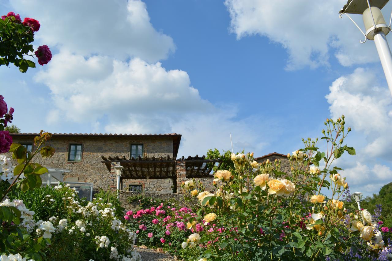 B&B Podere Il Colto Gaiole in Chianti Kültér fotó