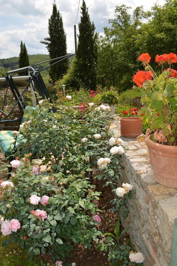 B&B Podere Il Colto Gaiole in Chianti Kültér fotó